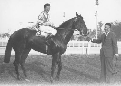 DON DIEGO