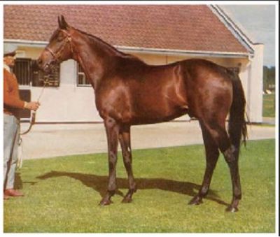 MILL REEF