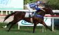DAVIGNON
