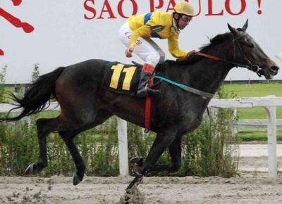 NOIVA GRACIOSA