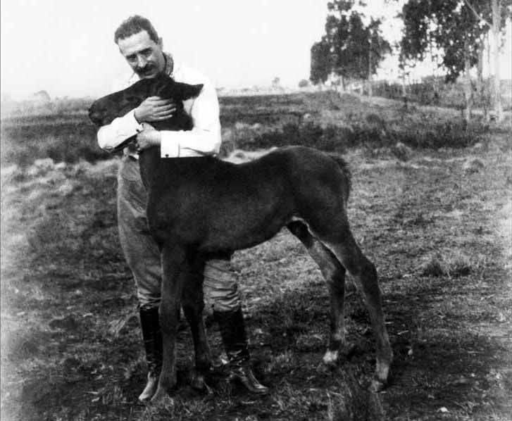 Linneo e potrinho