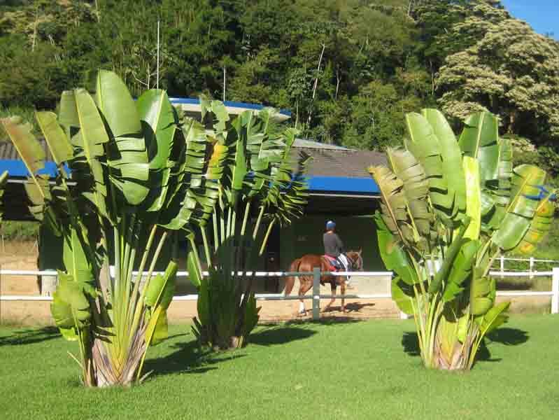 Pavilhao Volupia