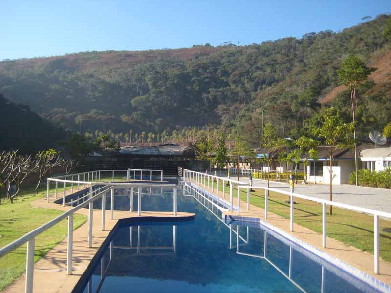 piscina e palmeiras