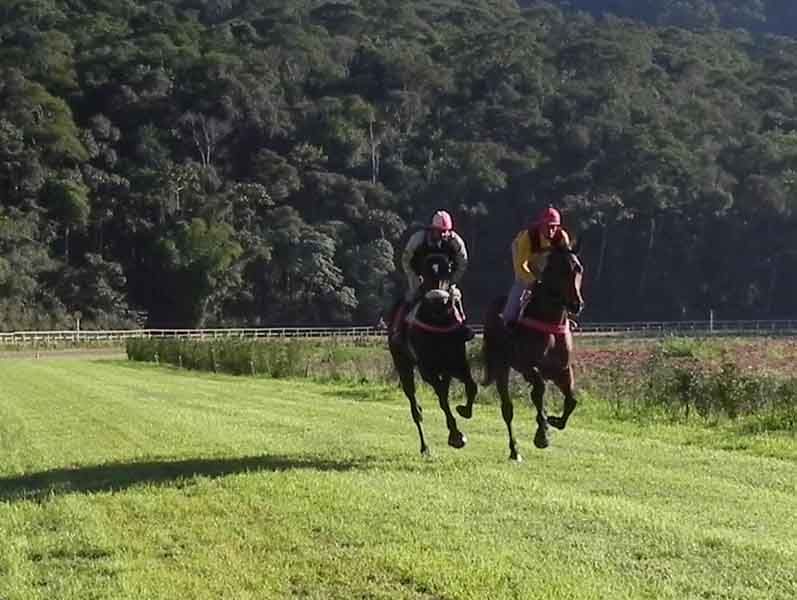 dois na pista de grama