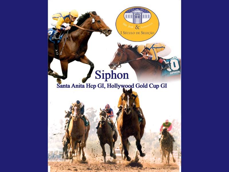 Banner Siphon