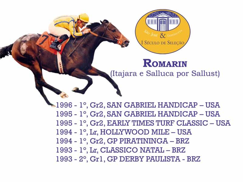 Romarin