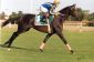 Riton - Gr.1 - GP. 9 de Julio