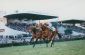 Seaborg - Gr.1 - GP Carlos Pellegrini 1995