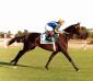 Riton - Gr.1 - GP Joaquin S de Anchorena 