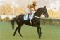 Be Fair - Gr1 - GP Diana 2000