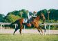 From The Sky - Gr1 - GP Joaquin S. de Anchorena 2003