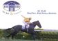 Be Fair - estreia