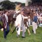 Derek - Gr1 - Cl Latino Americano-Malboro Cup - 1983