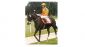 Plus Vite - Gr1 - GP Henrique Possolo 1993